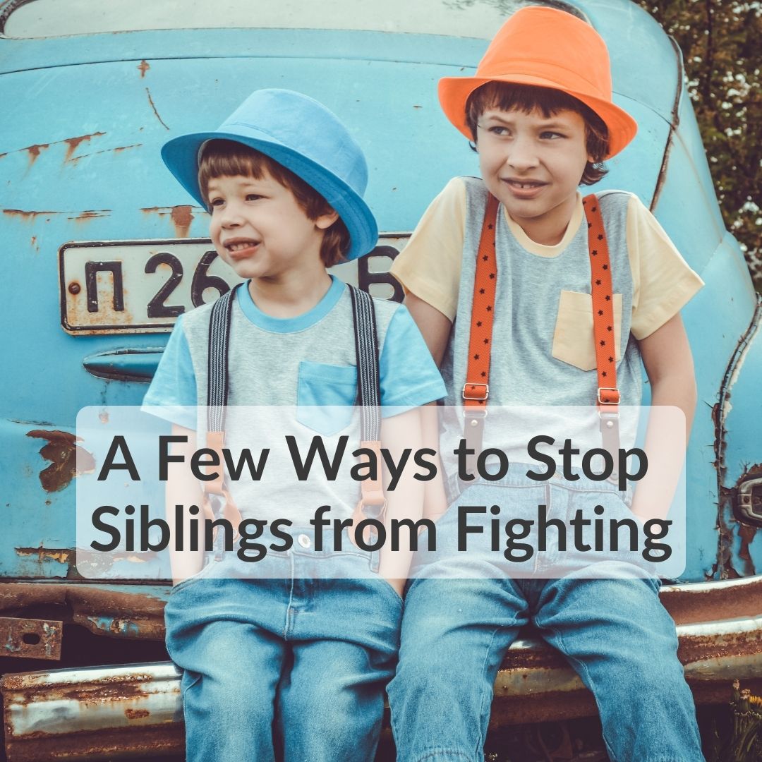 A Few Ways to Stop Siblings from Fighting